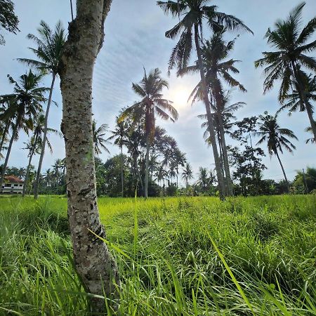 Casa Idea Ubud Eksteriør bilde