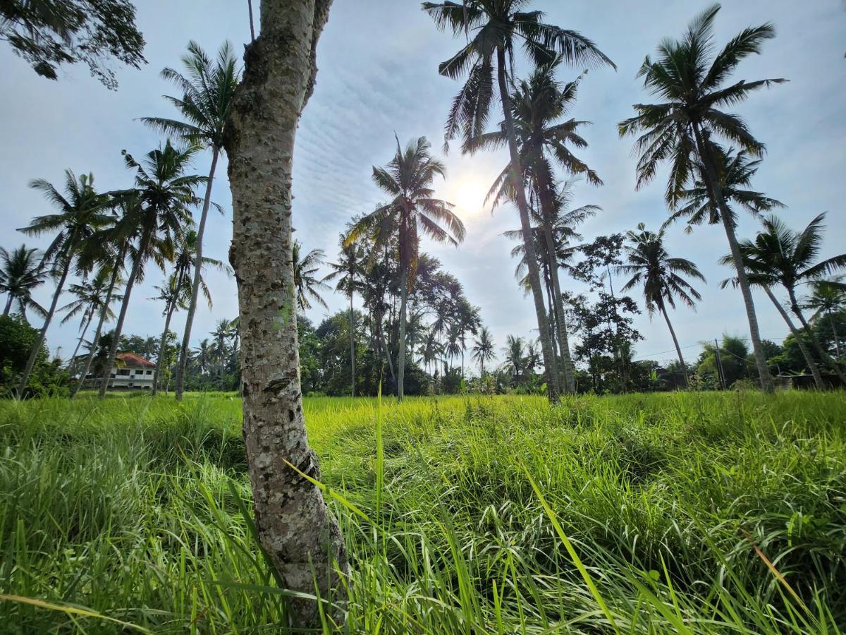 Casa Idea Ubud Eksteriør bilde